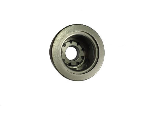 Stoßdämpfer-Teile PTFE-Führer-Ring Sintered Soems Guider gezeichnet mit dem Tragen